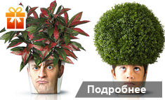 ФОТО-КАШПО