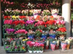 Сколько стоит открыть магазин цветов